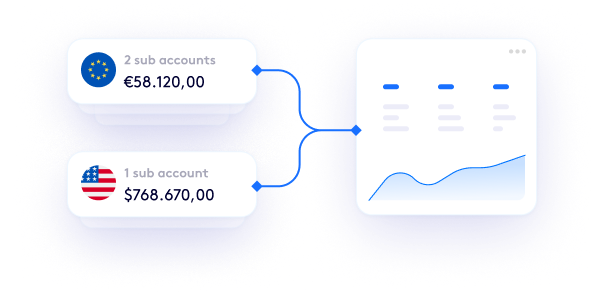 Segregated currency sub-accounts feeding into one account view